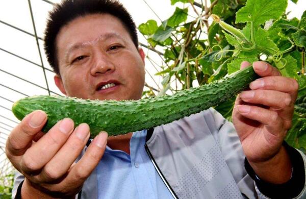生鮮食材配送為什么大多不能與客戶建立長期合作？